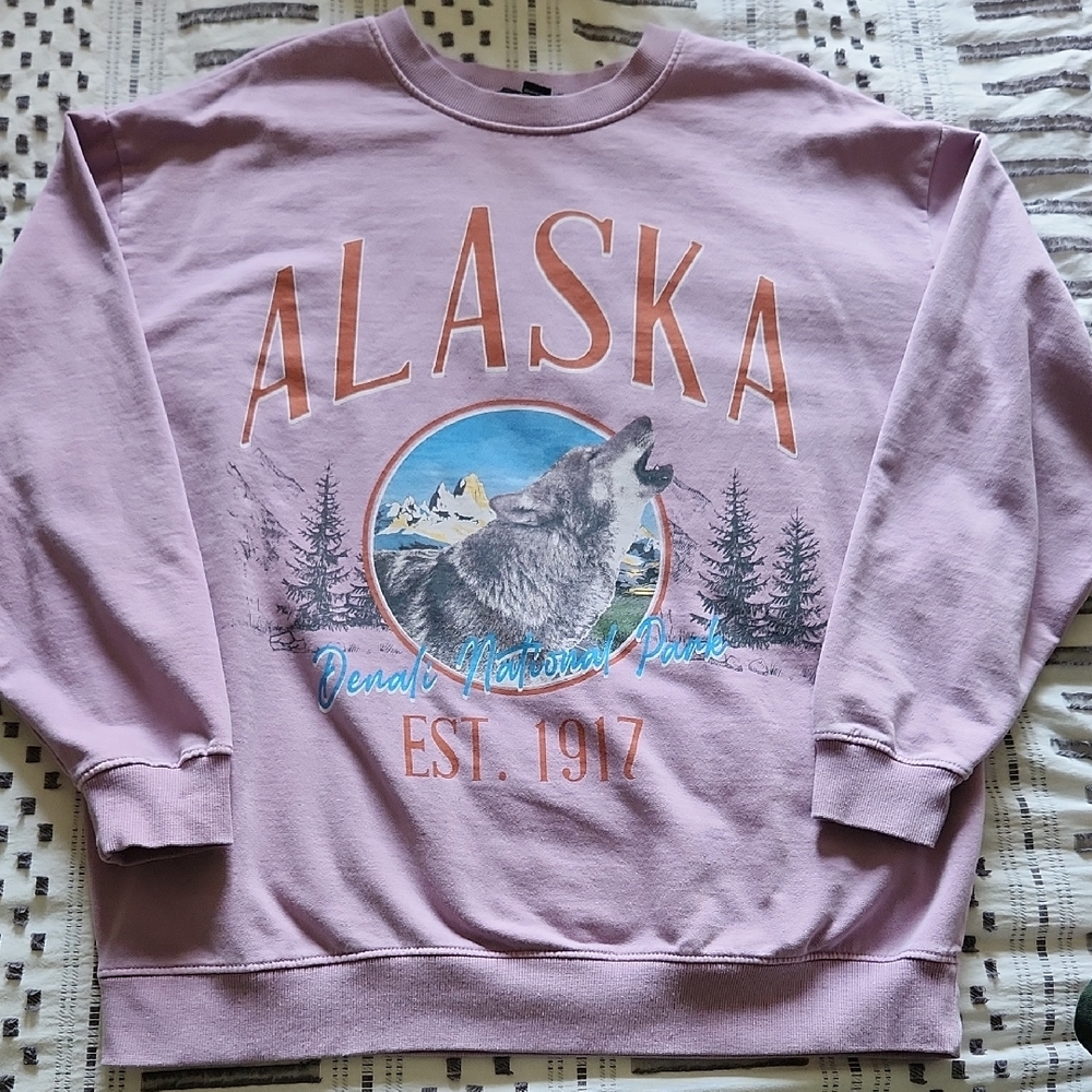 Forever 21 Vintage Alaska Graphic Oversized Sweatshirt - Large